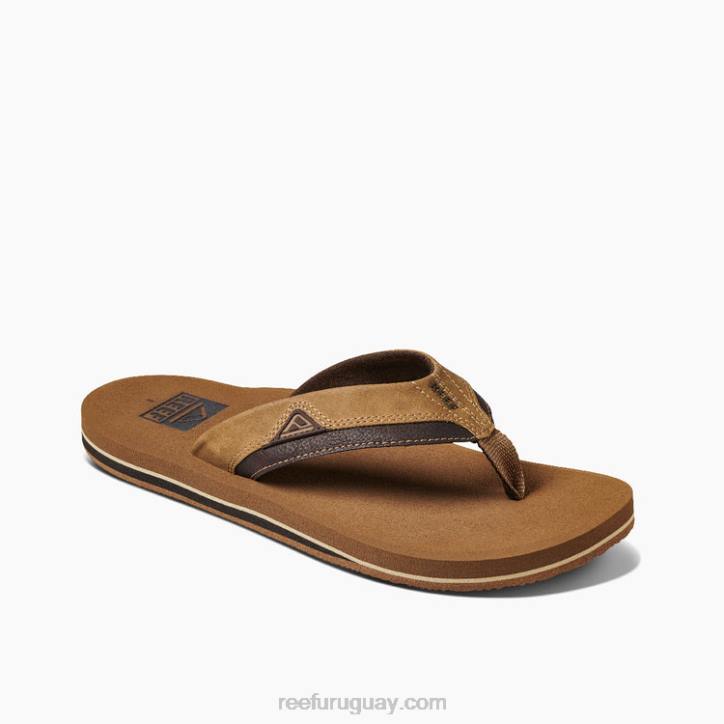bronce R2BV393 cojín amanecer Reef hombres
