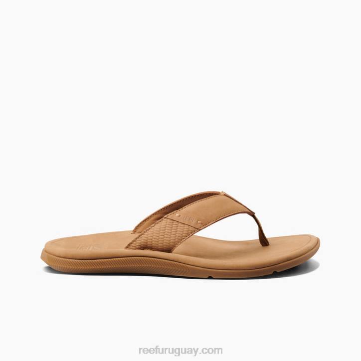 broncearse R2BV318 cuero santa ana Reef hombres