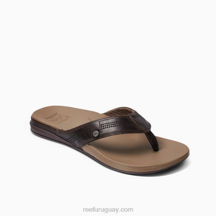 java fósil R2BV402 cojín de lujo Reef hombres