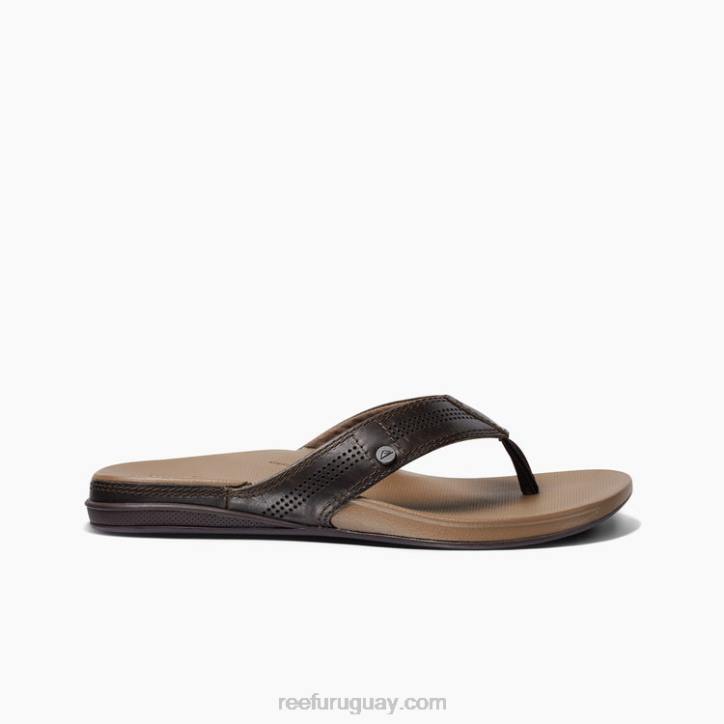 java fósil R2BV402 cojín de lujo Reef hombres