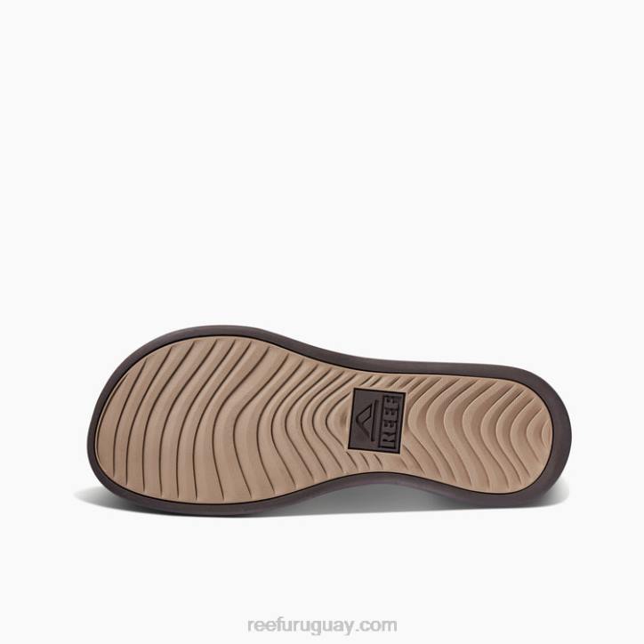 java fósil R2BV402 cojín de lujo Reef hombres