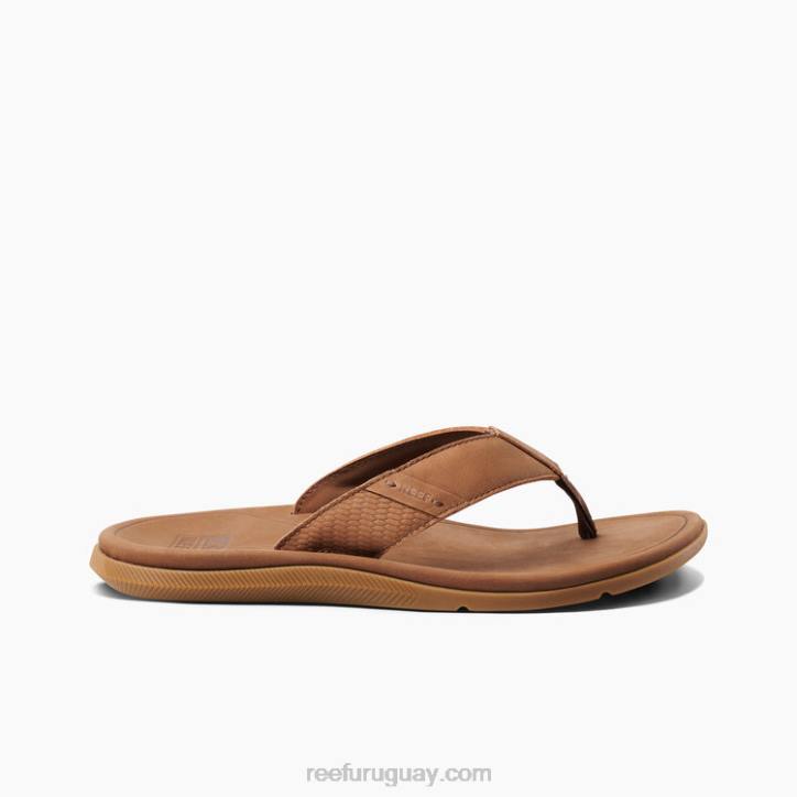 marrón R2BV351 cuero santa ana Reef hombres