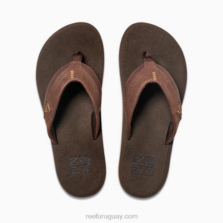 marrón R2BV426 cojín amanecer Reef hombres