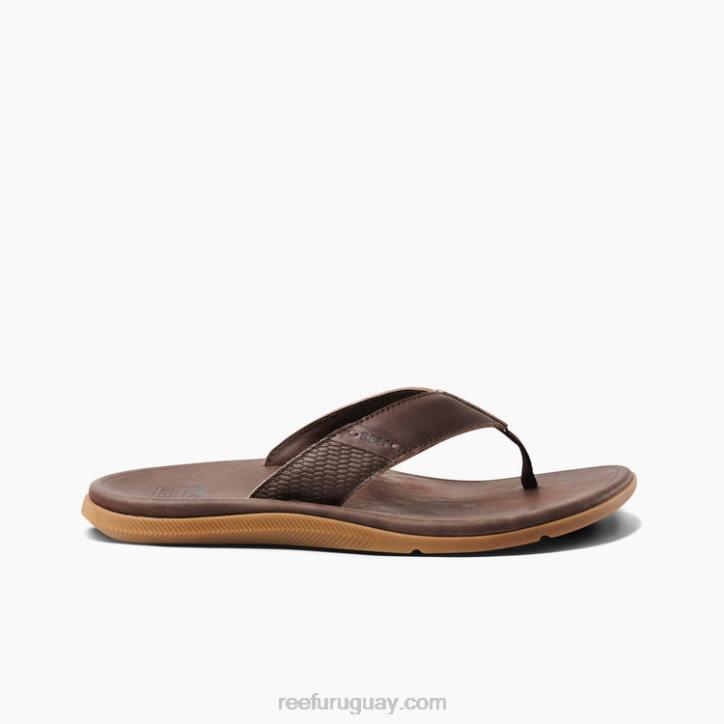 marron oscuro R2BV365 cuero santa ana Reef hombres