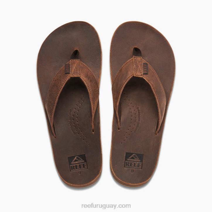 marron oscuro R2BV368 clásico de la deriva del arrecifehombres