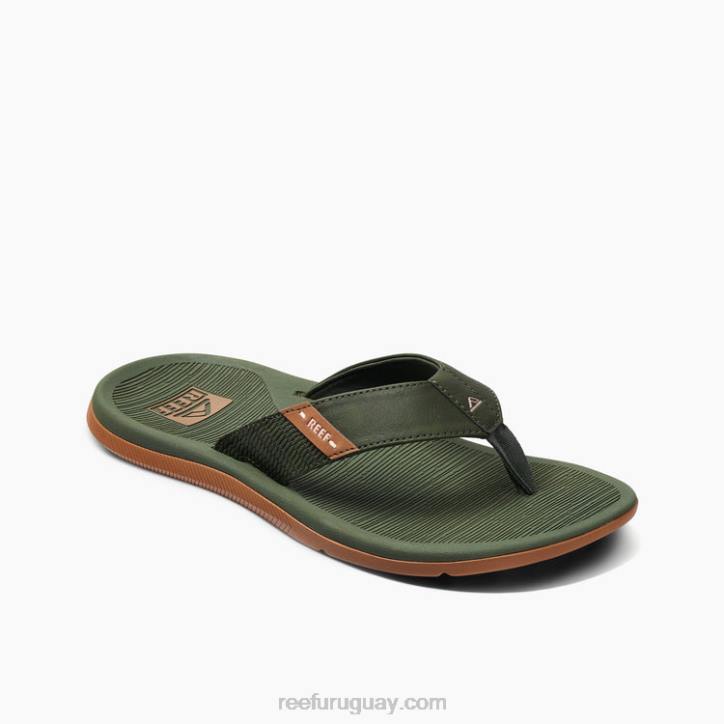 oliva/chicle R2BV437 arrecife santa anahombres