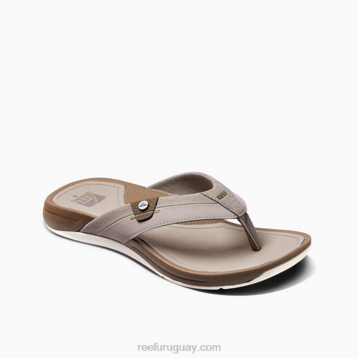 topo/fósil R2BV384 arrecife pacificohombres