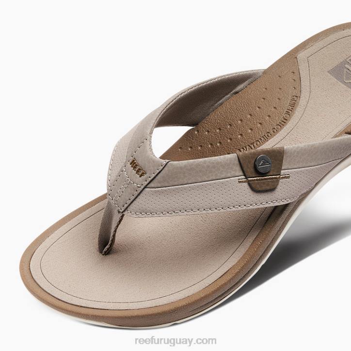 topo/fósil R2BV384 arrecife pacificohombres
