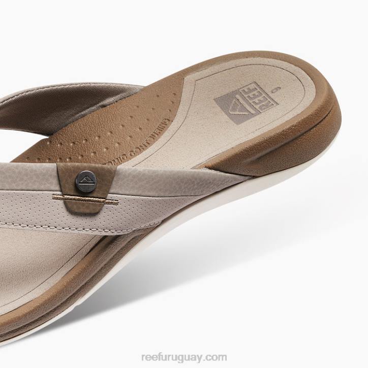 topo/fósil R2BV384 arrecife pacificohombres