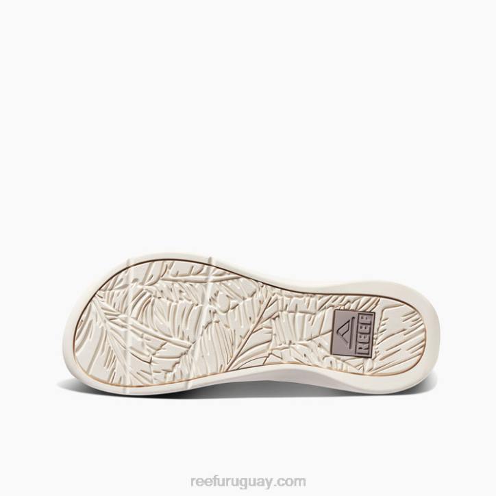 topo/fósil R2BV384 arrecife pacificohombres