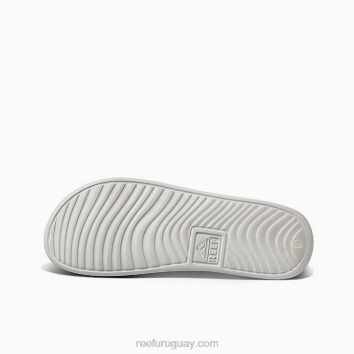 nube R2BV461 una diapositiva fría Reef hombres