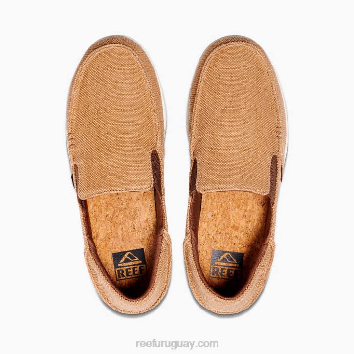 Coco R2BV515 cojín matey Reef hombres