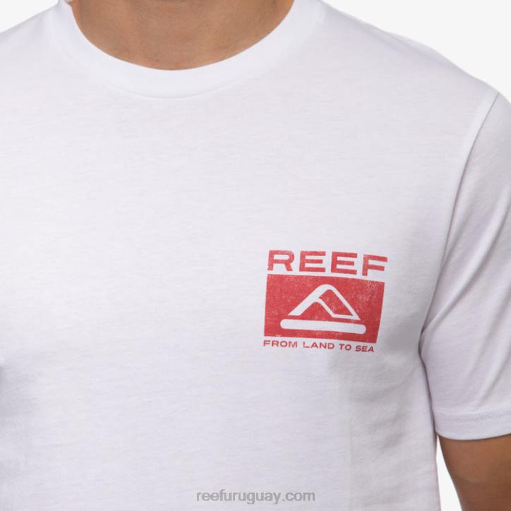 blanco brillante R2BV564 camiseta beverly manga corta Reef hombres