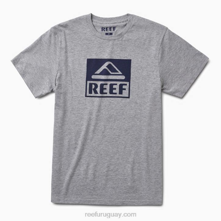 brezo gris R2BV619 camiseta de manga corta del conductor Reef hombres