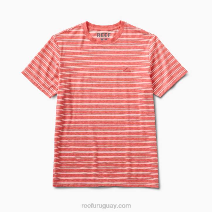 hibisco R2BV585 camiseta de punto de manga corta sutter Reef hombres