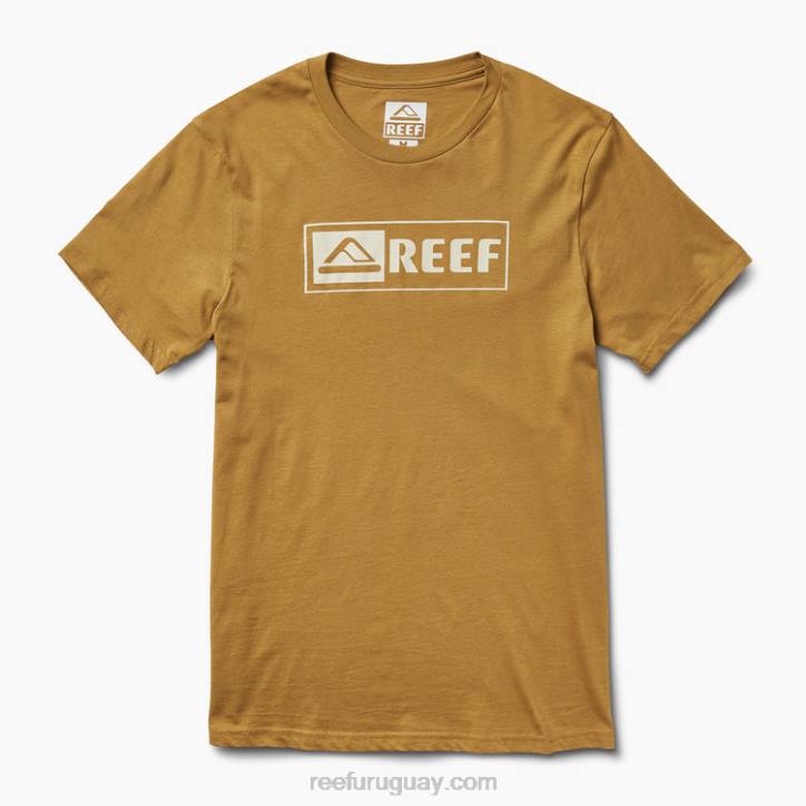 semillas de hinojo R2BV593 camiseta de manga corta ellsworth Reef hombres