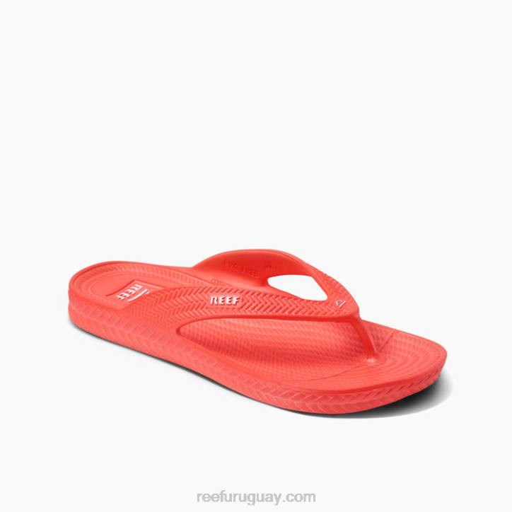 amapola de neón R2BV107 corte de agua Reef mujer