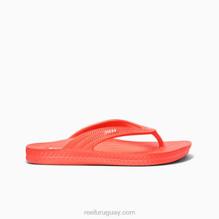 amapola de neón R2BV107 corte de agua Reef mujer