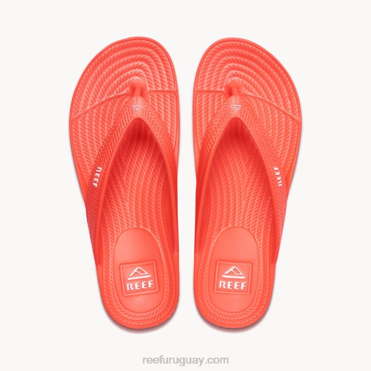 amapola de neón R2BV107 corte de agua Reef mujer