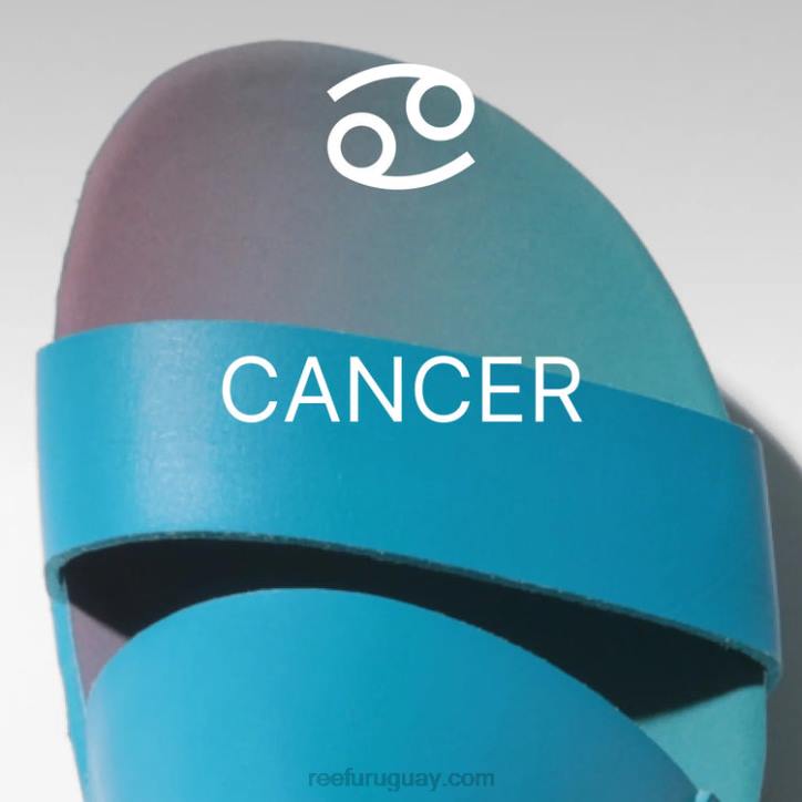 cáncer R2BV162 arrecife x cojín santuario vista holamujer