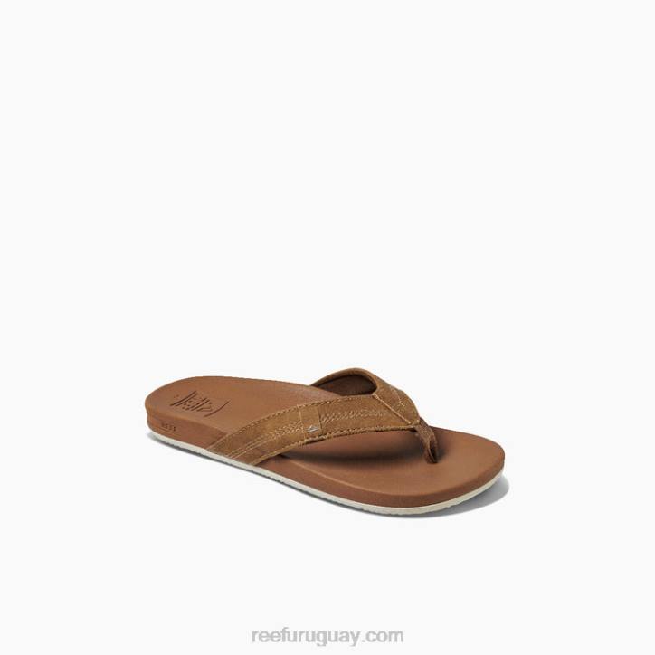 broncearse R2BV839 cojín infantil fantasma Reef