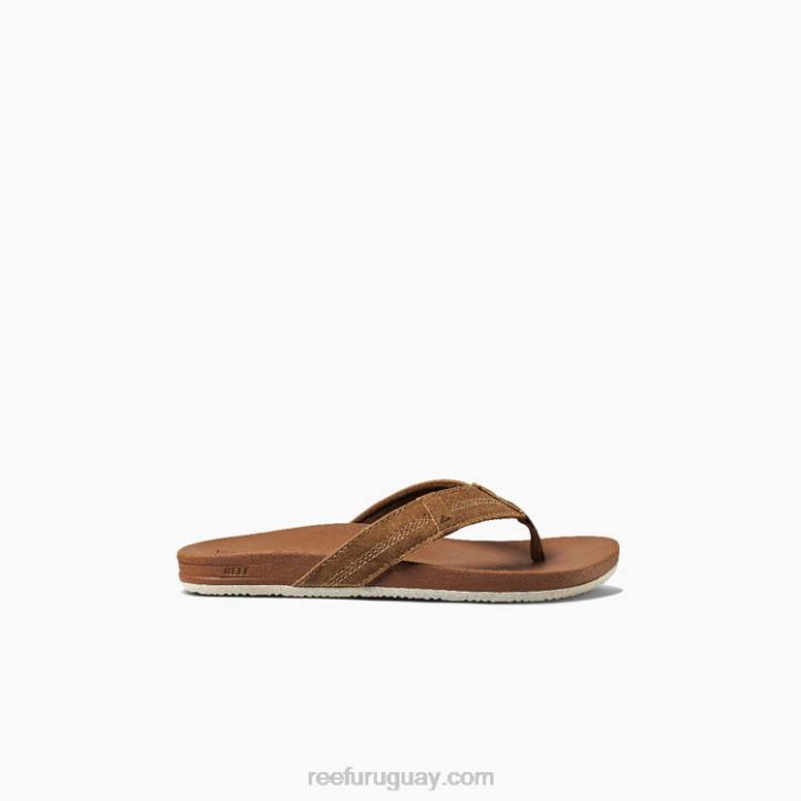 broncearse R2BV839 cojín infantil fantasma Reef