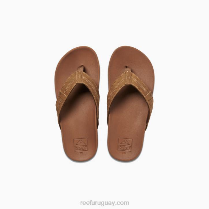 broncearse R2BV839 cojín infantil fantasma Reef