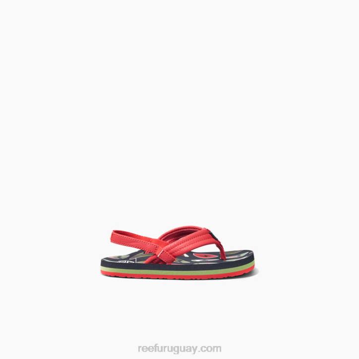 tablero rojo R2BV830 pequeño ahi Reef niños