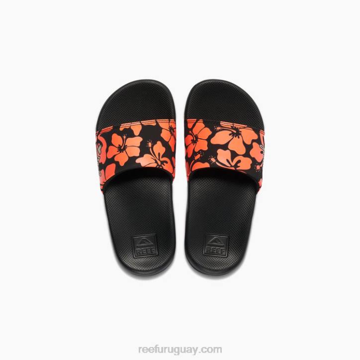 coral hibisco R2BV890 niños una diapositiva Reef