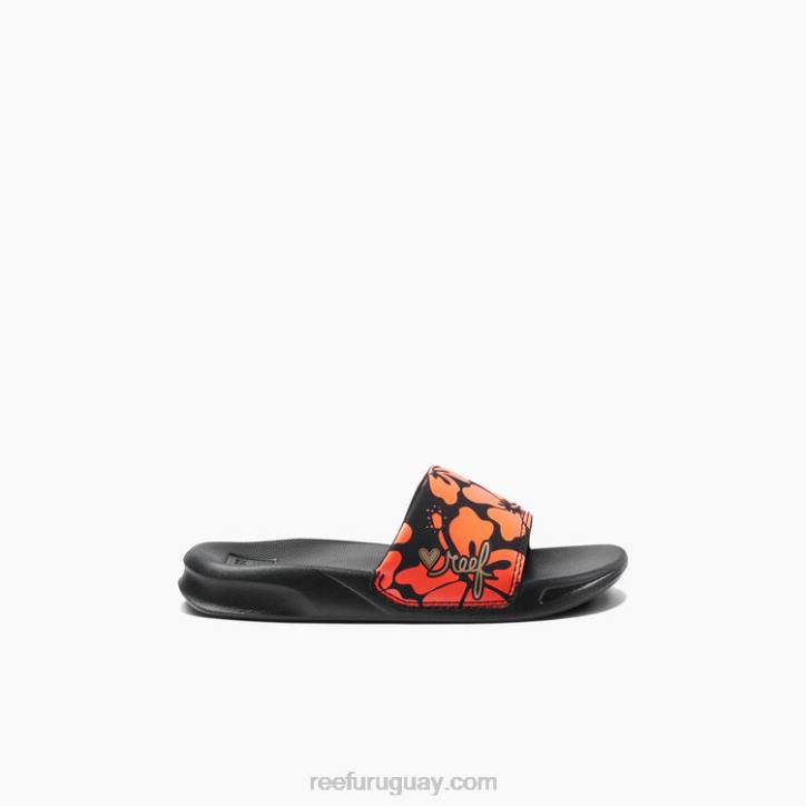 coral hibisco R2BV890 niños una diapositiva Reef