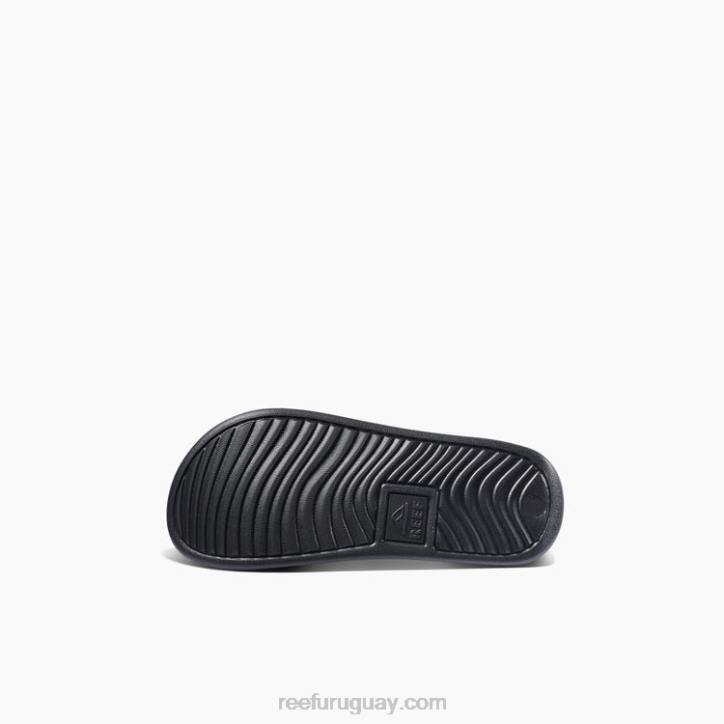 coral hibisco R2BV890 niños una diapositiva Reef