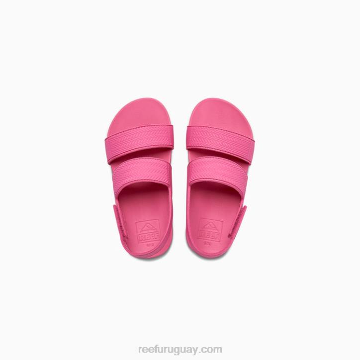 rosa R2BV867 pequeña vista de agua Reef niños