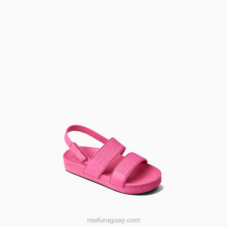 rosa R2BV867 pequeña vista de agua Reef niños