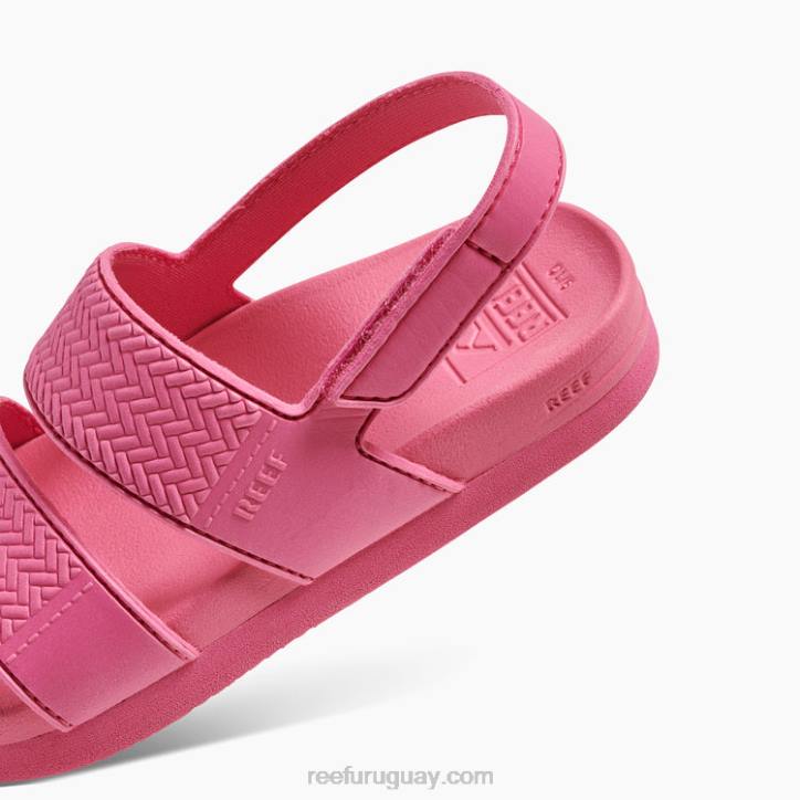 rosa R2BV867 pequeña vista de agua Reef niños
