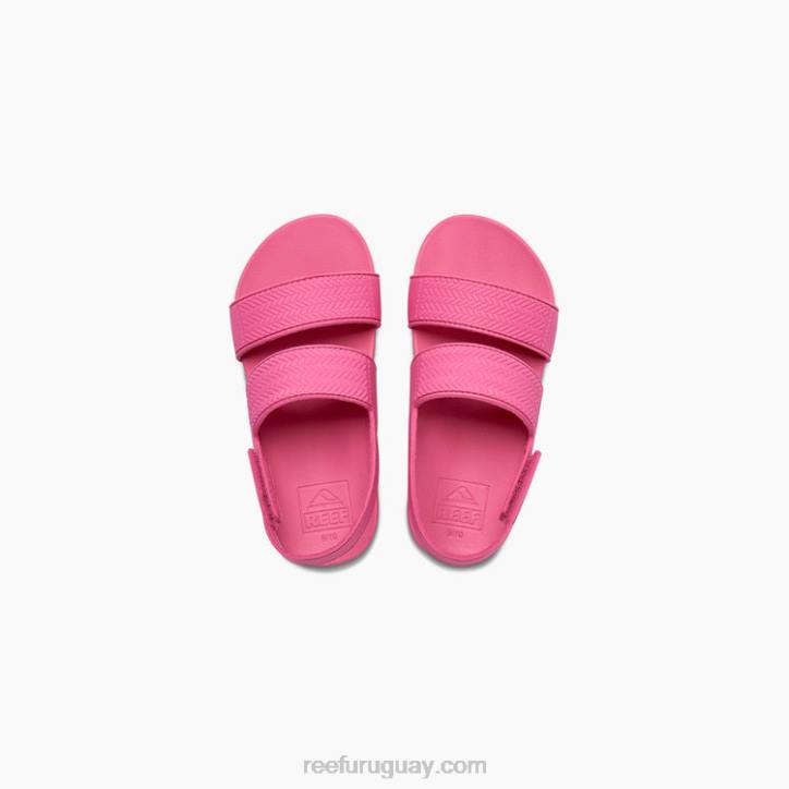 rosa R2BV867 pequeña vista de agua Reef niños