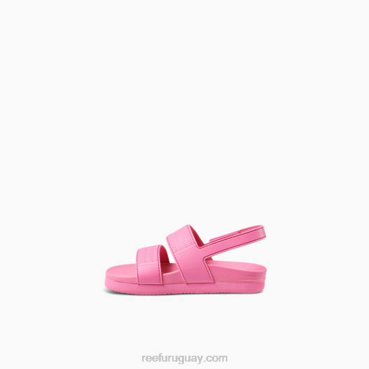 rosa R2BV867 pequeña vista de agua Reef niños