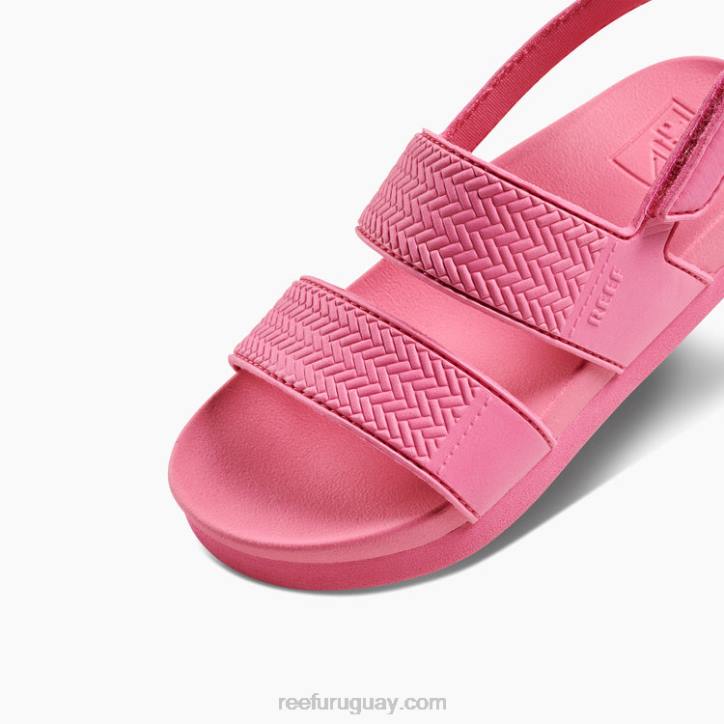 rosa R2BV867 pequeña vista de agua Reef niños