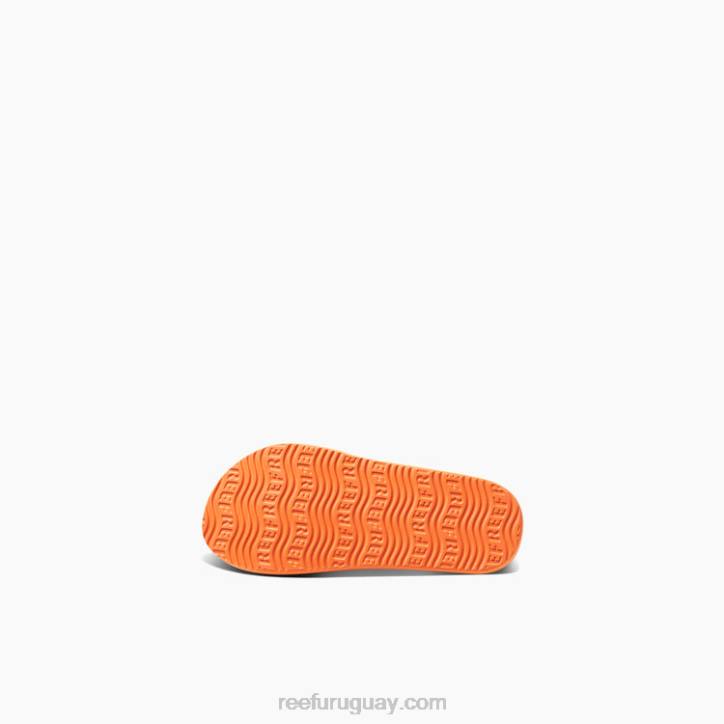 zalamero R2BV864 pequeña vista de agua Reef niños